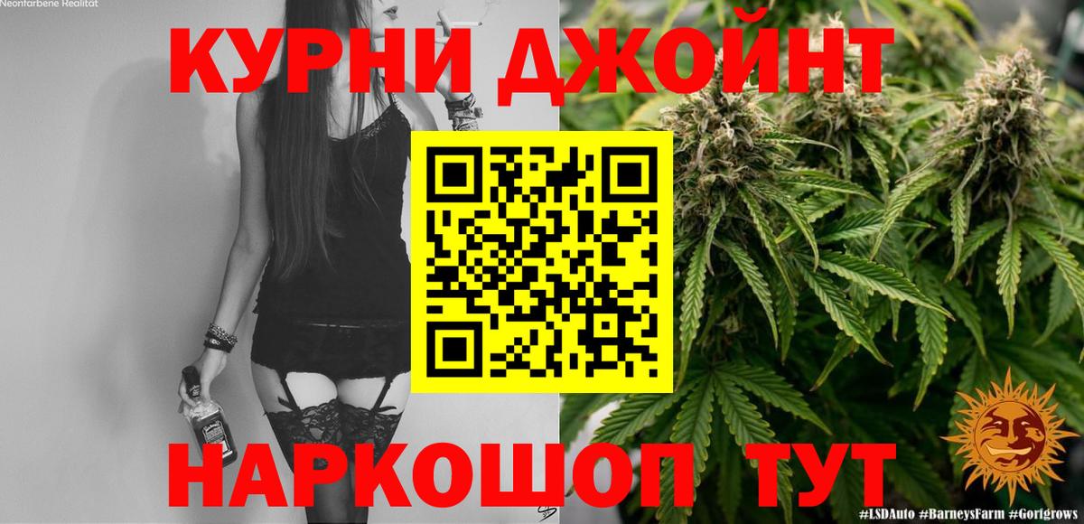 Конопля планчик Сегежа